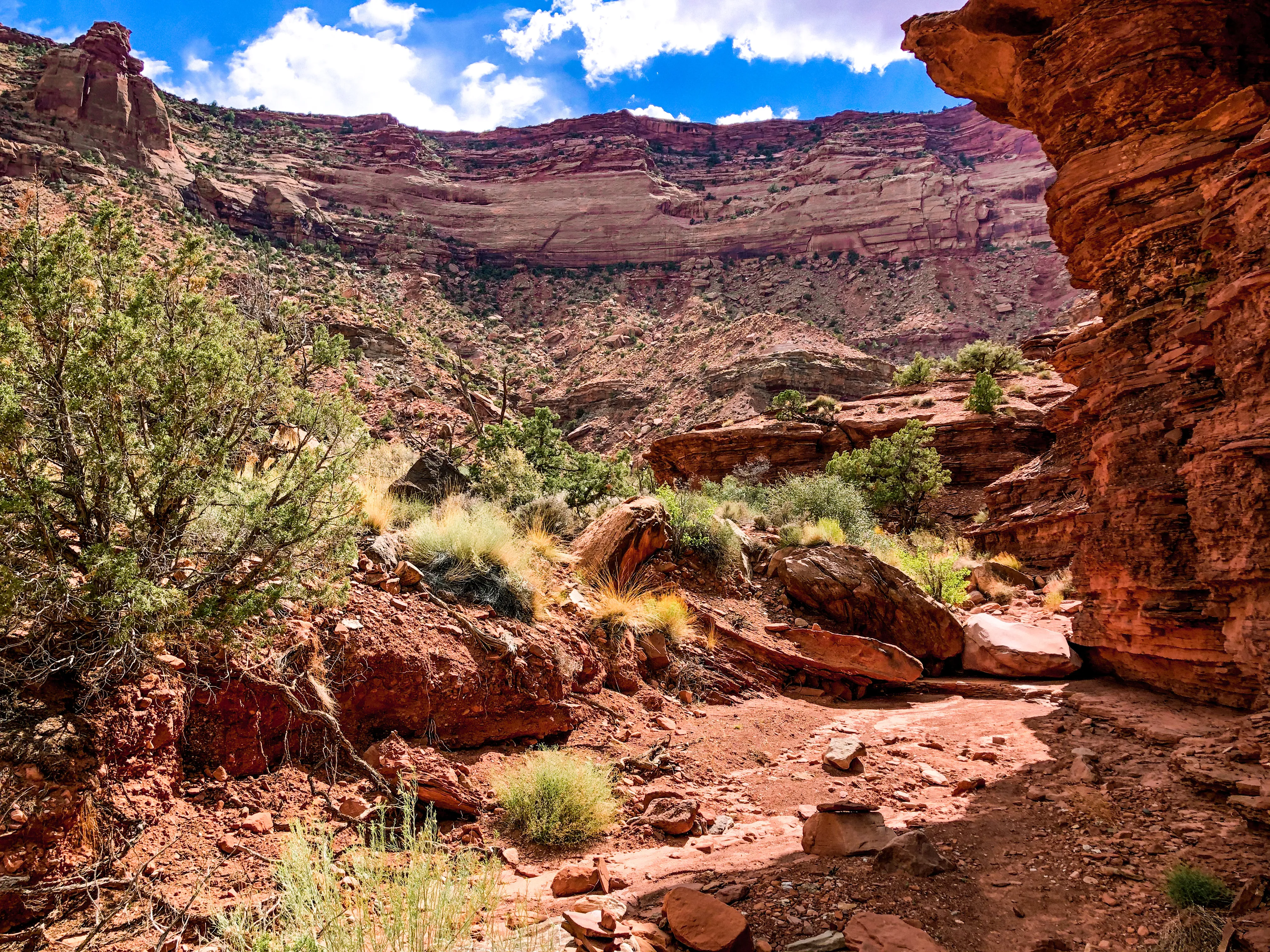 Hike the Gooseberry Trail in Canyonlands