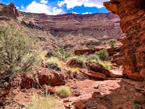 Hike the Gooseberry Trail in Canyonlands