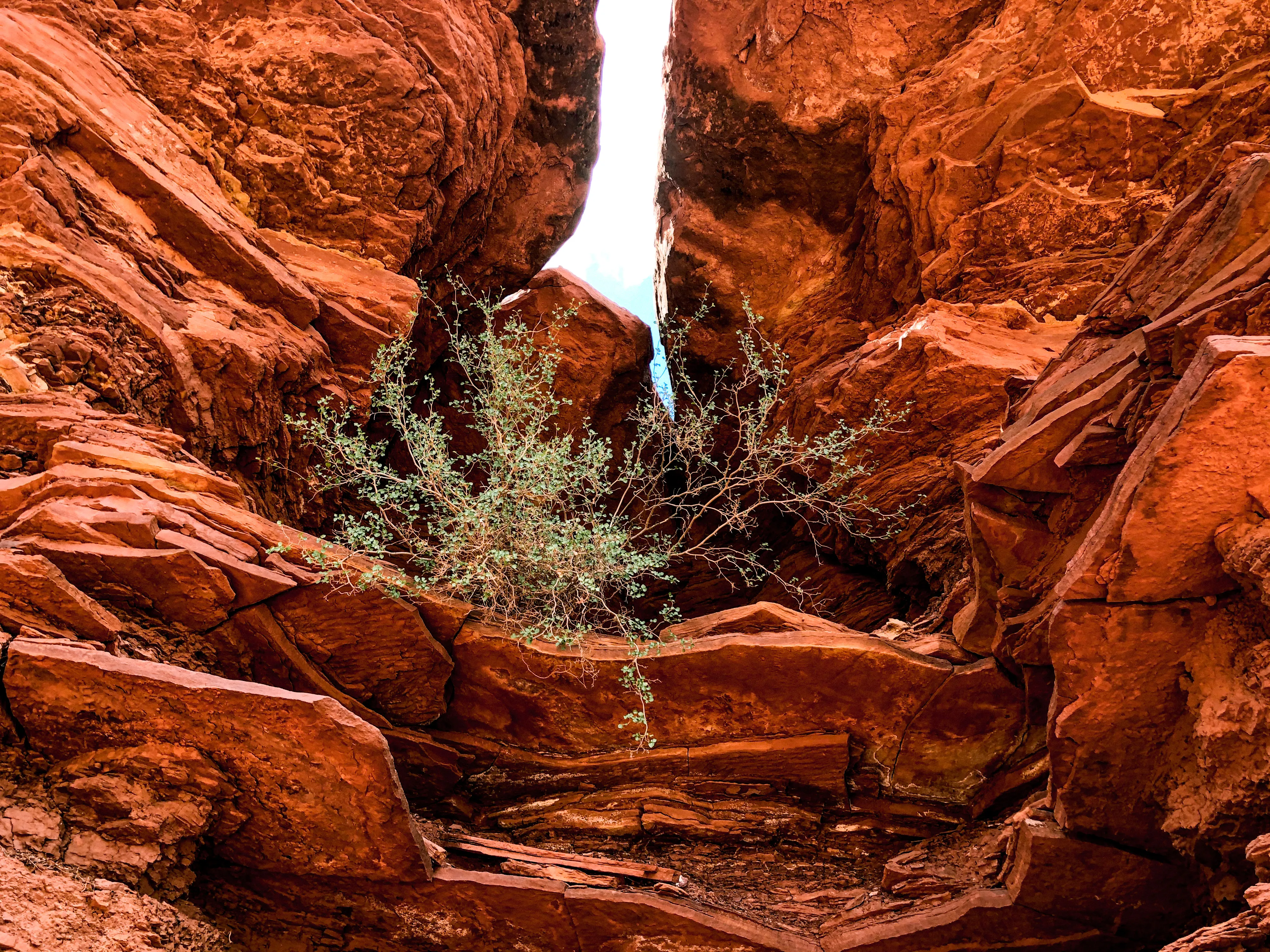 Hike the Gooseberry Trail in Canyonlands