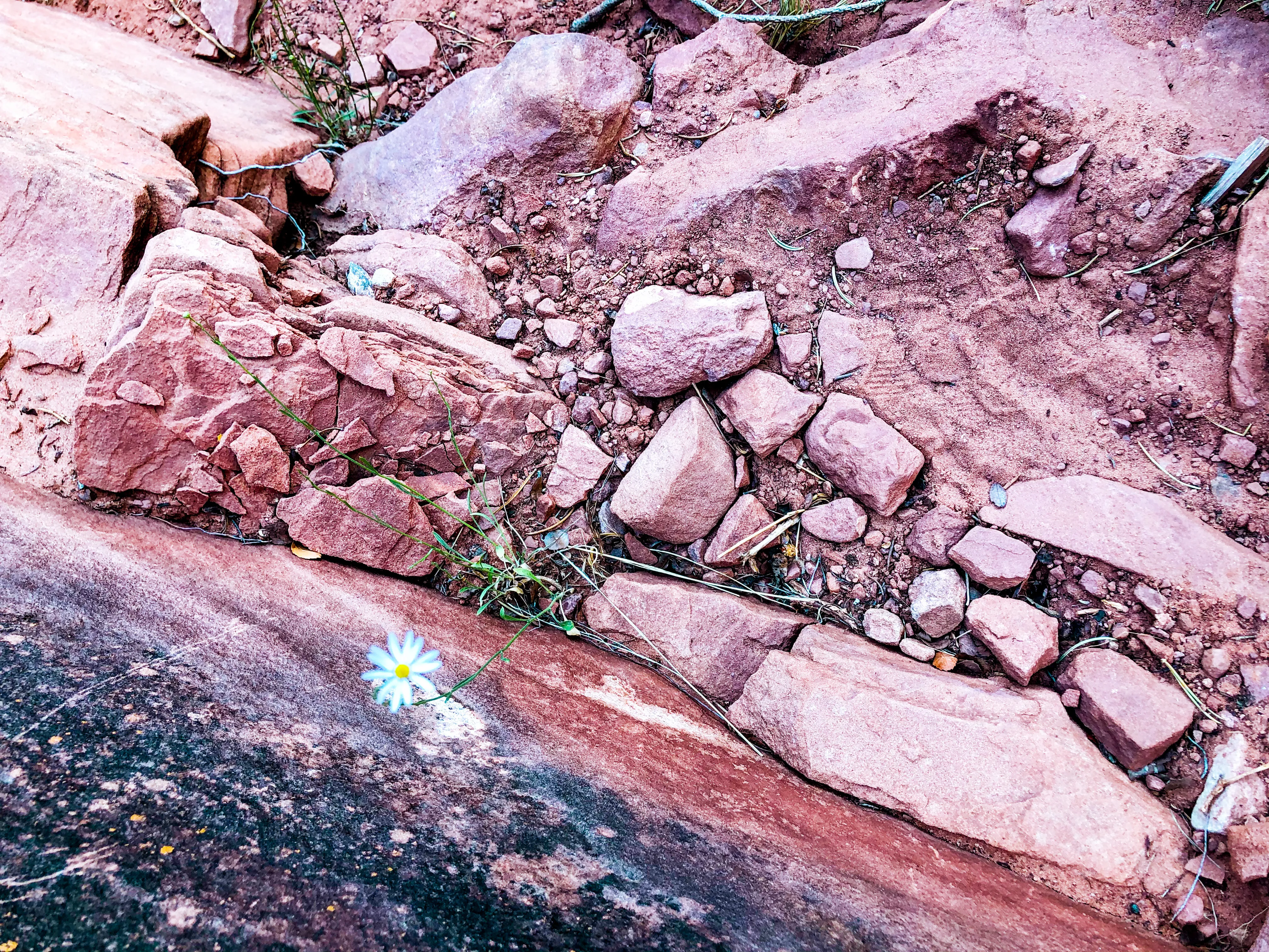 Hike the Gooseberry Trail in Canyonlands