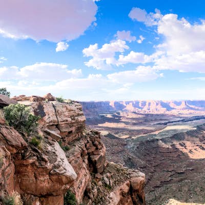 Hike the Gooseberry Trail in Canyonlands