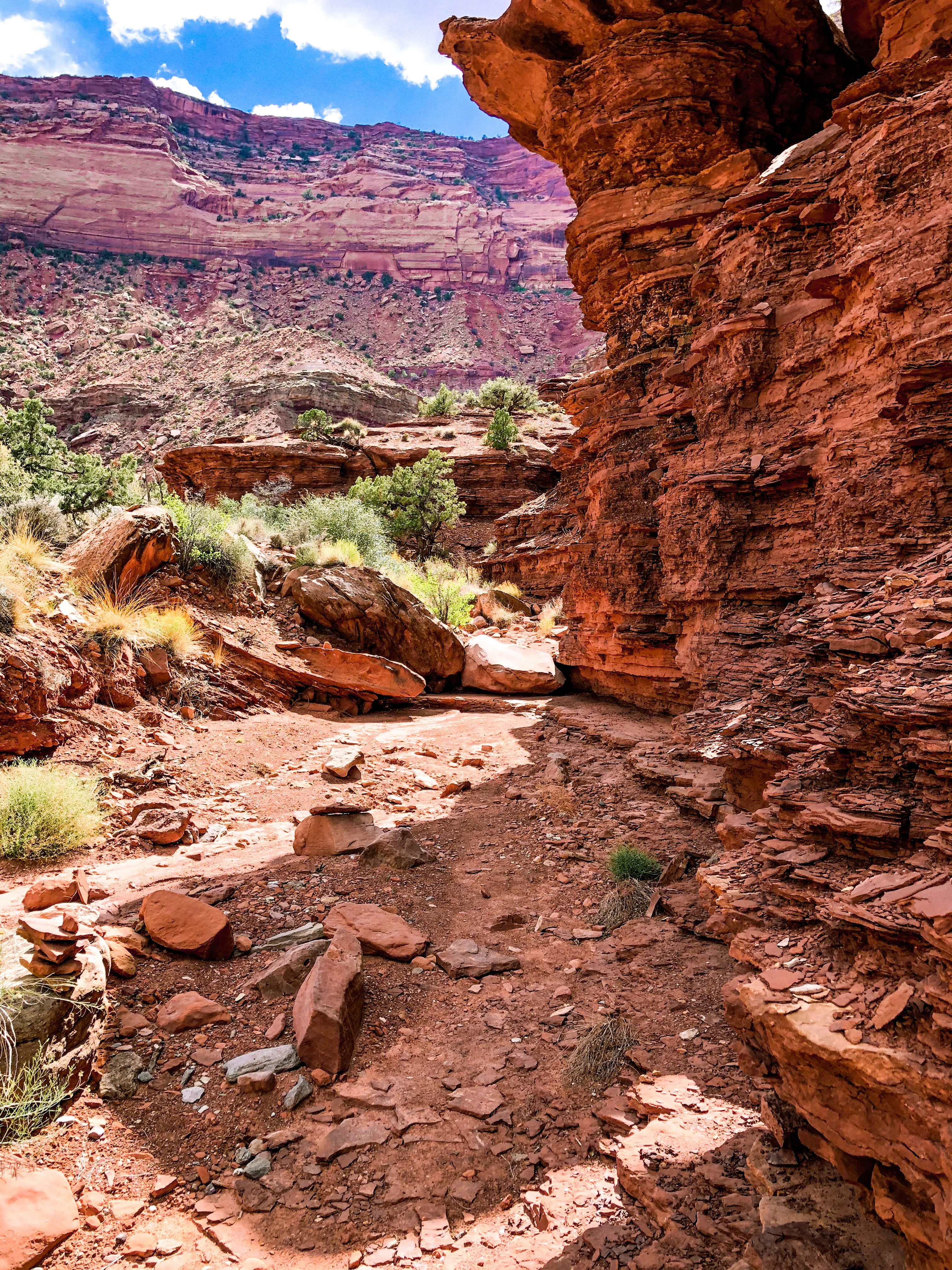 Hike the Gooseberry Trail in Canyonlands