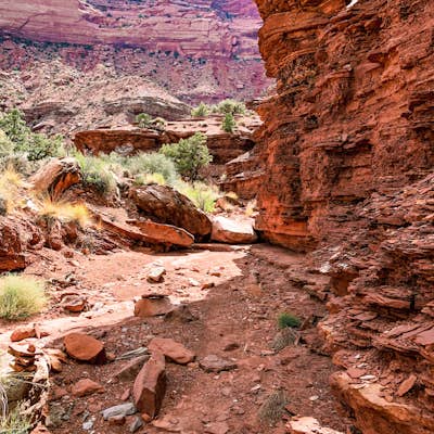 Hike the Gooseberry Trail in Canyonlands