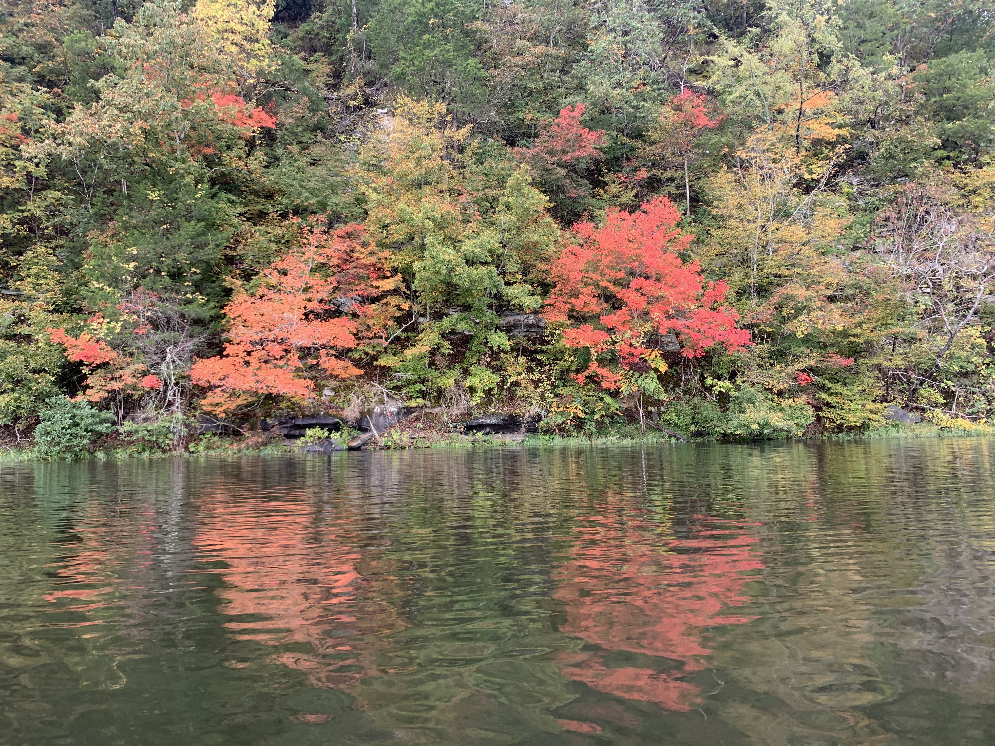Hike around Lake Harris