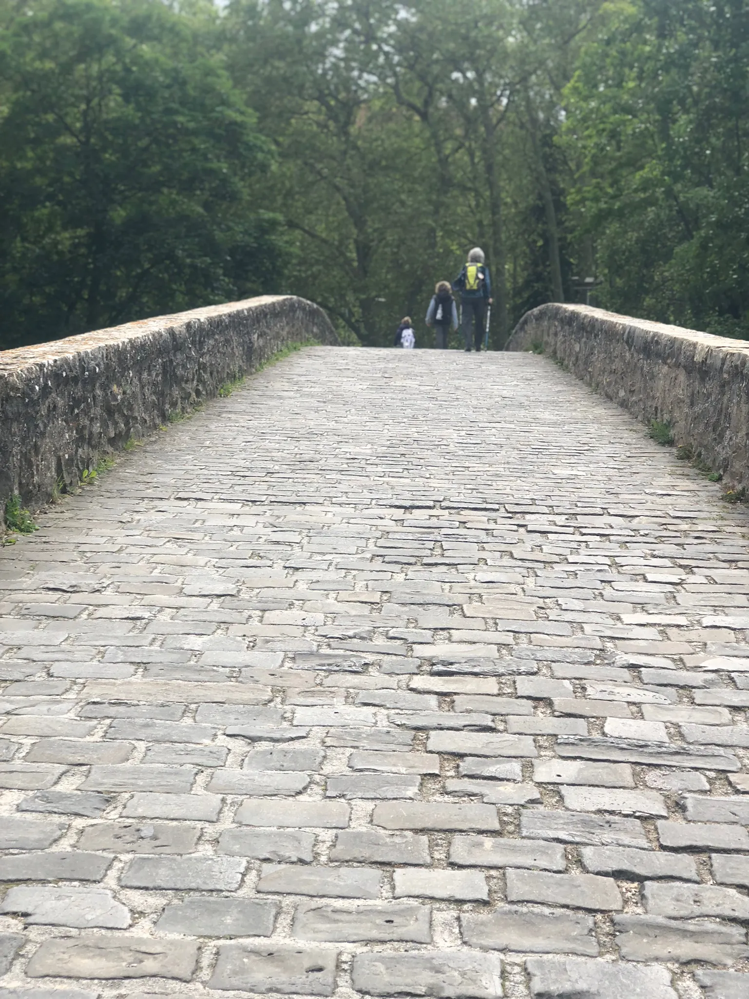 Explore the Riverside Walk in Pamplona