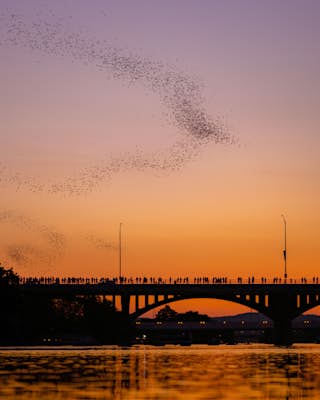 Watch the Mexican-Free-Tailed Bats Emerge from Congress Street Bridge