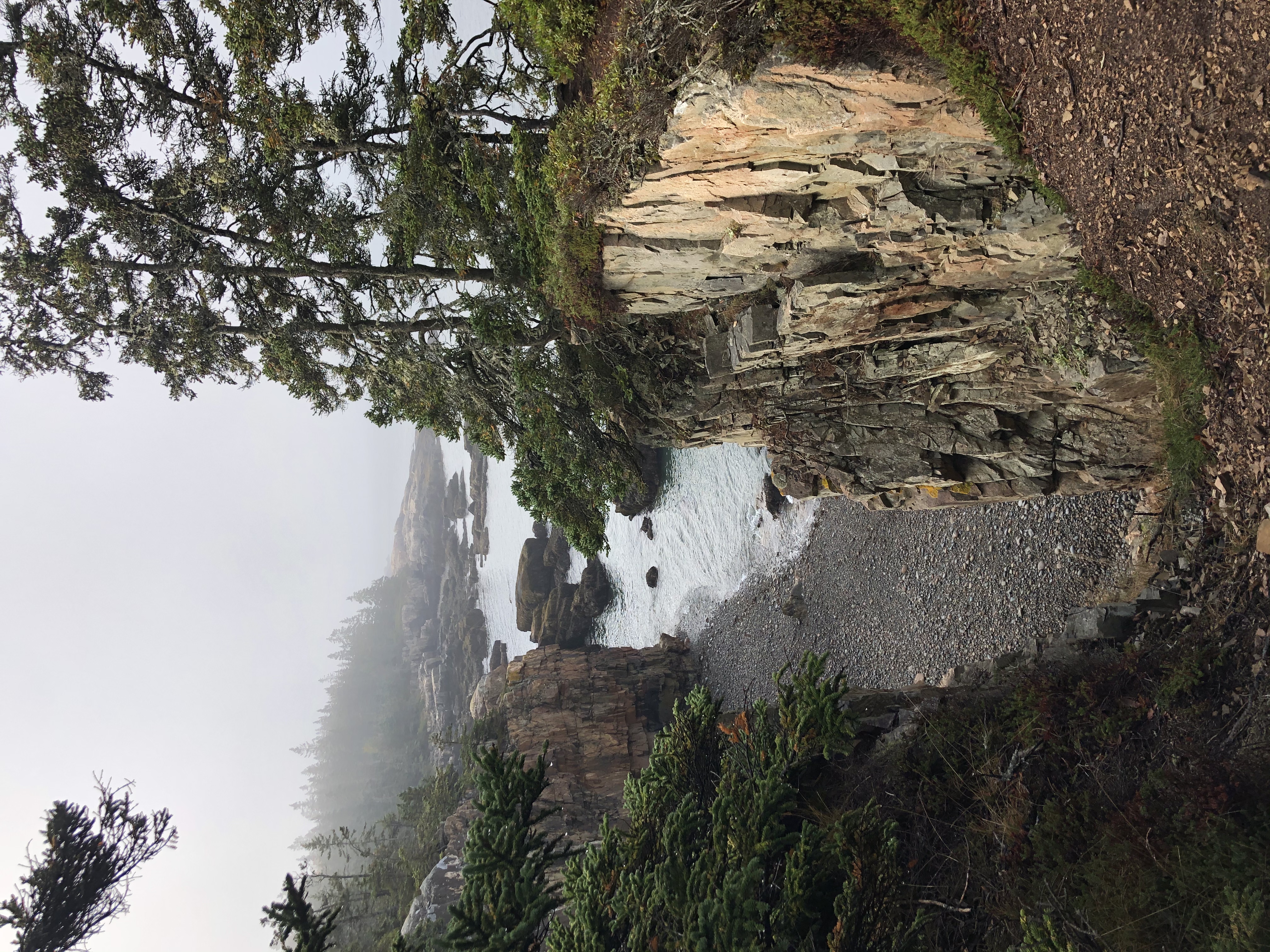 Ravens Nest