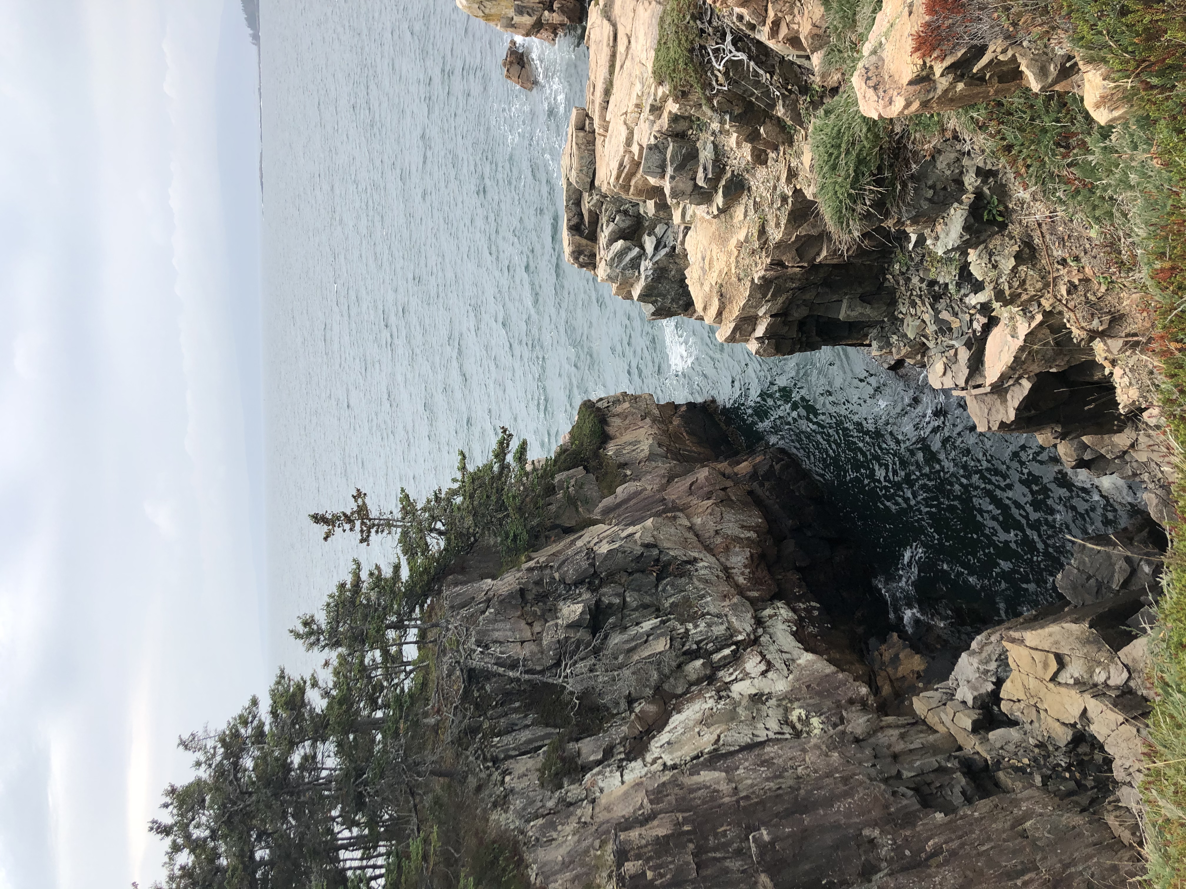 Ravens Nest
