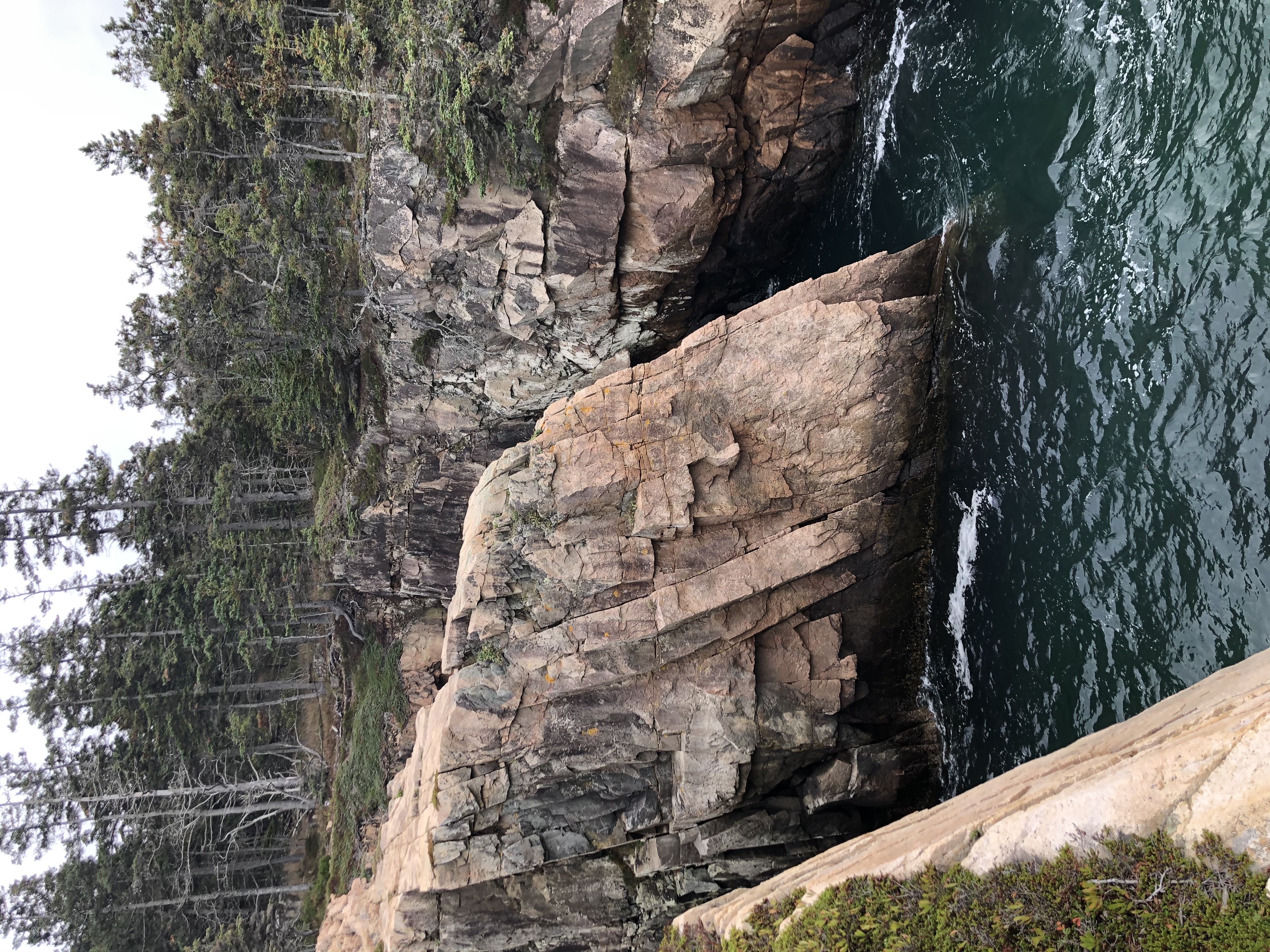 Ravens Nest