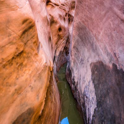 Zebra and Tunnel Slot Canyons Loop