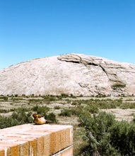 Hike to the top of Independence Rock