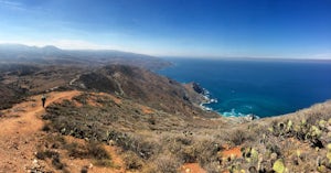 Day Hike across Catalina: Two Harbors to Avalon