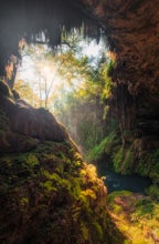 Explore Westcave Outdoor Discovery Center