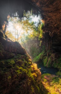 Explore Westcave Outdoor Discovery Center