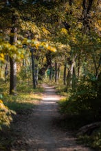 Hike the Shoal Creek Trail