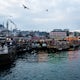 Explore Galata Bridge