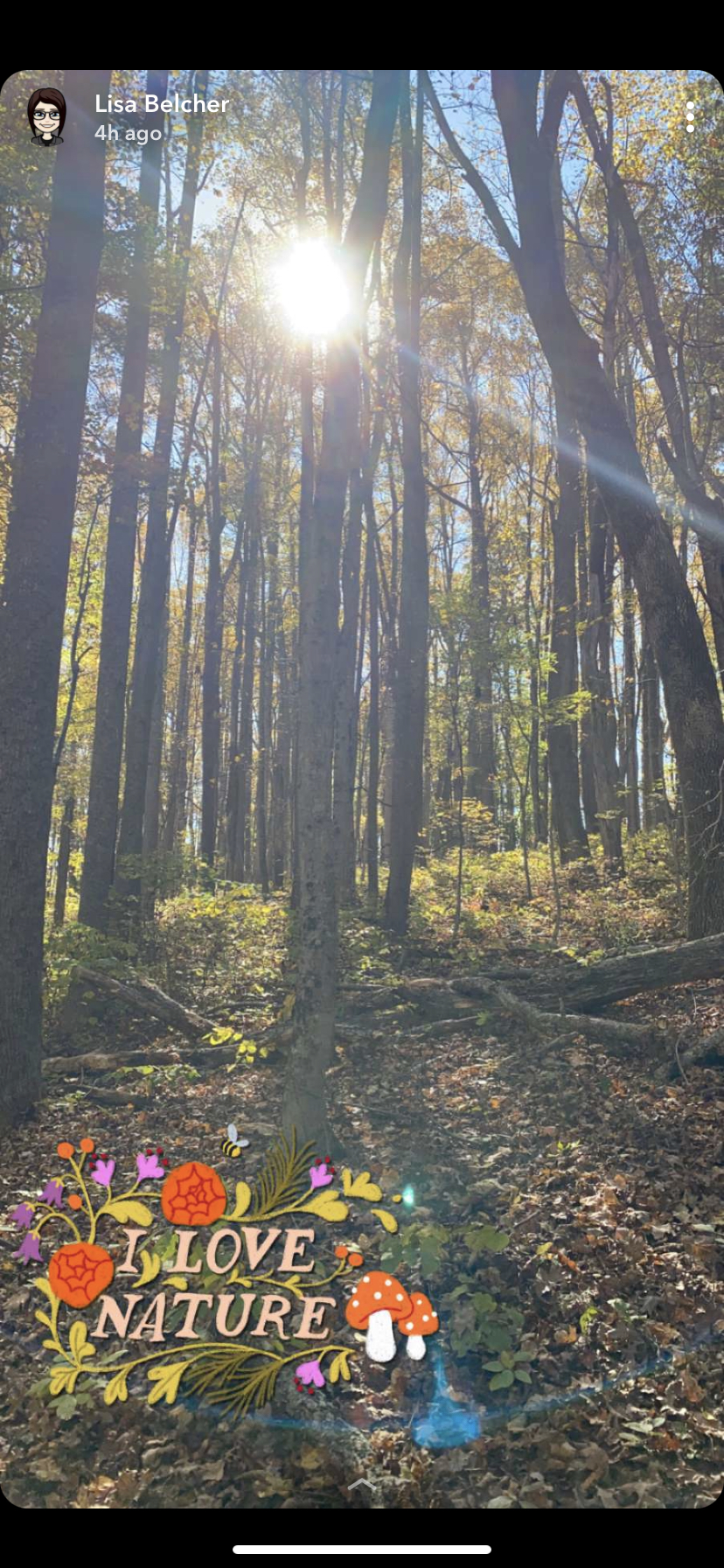 Hike through Falls Ridge Preserve