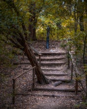 Hike Main Trail to Meadow Loop to Taylor Creek Loop