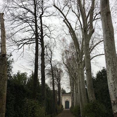 Stroll through the Boboli Gardens