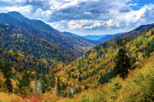 13 of the Best Spots to Explore this Fall