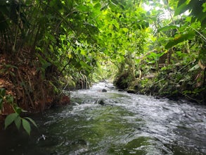 Soak in the Thermal Waters of Rio Chollin 