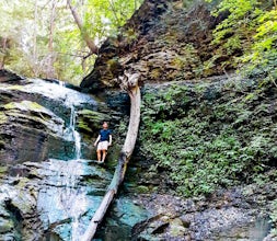 Uplands Hiking Trail along Barnes Gulley