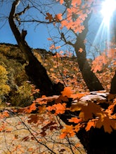 Drive Butterfield Canyon