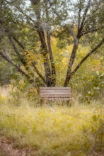 Hike Lost Trail