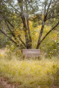 Hike Lost Trail