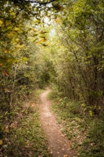 Hike Valburn Switchback Party