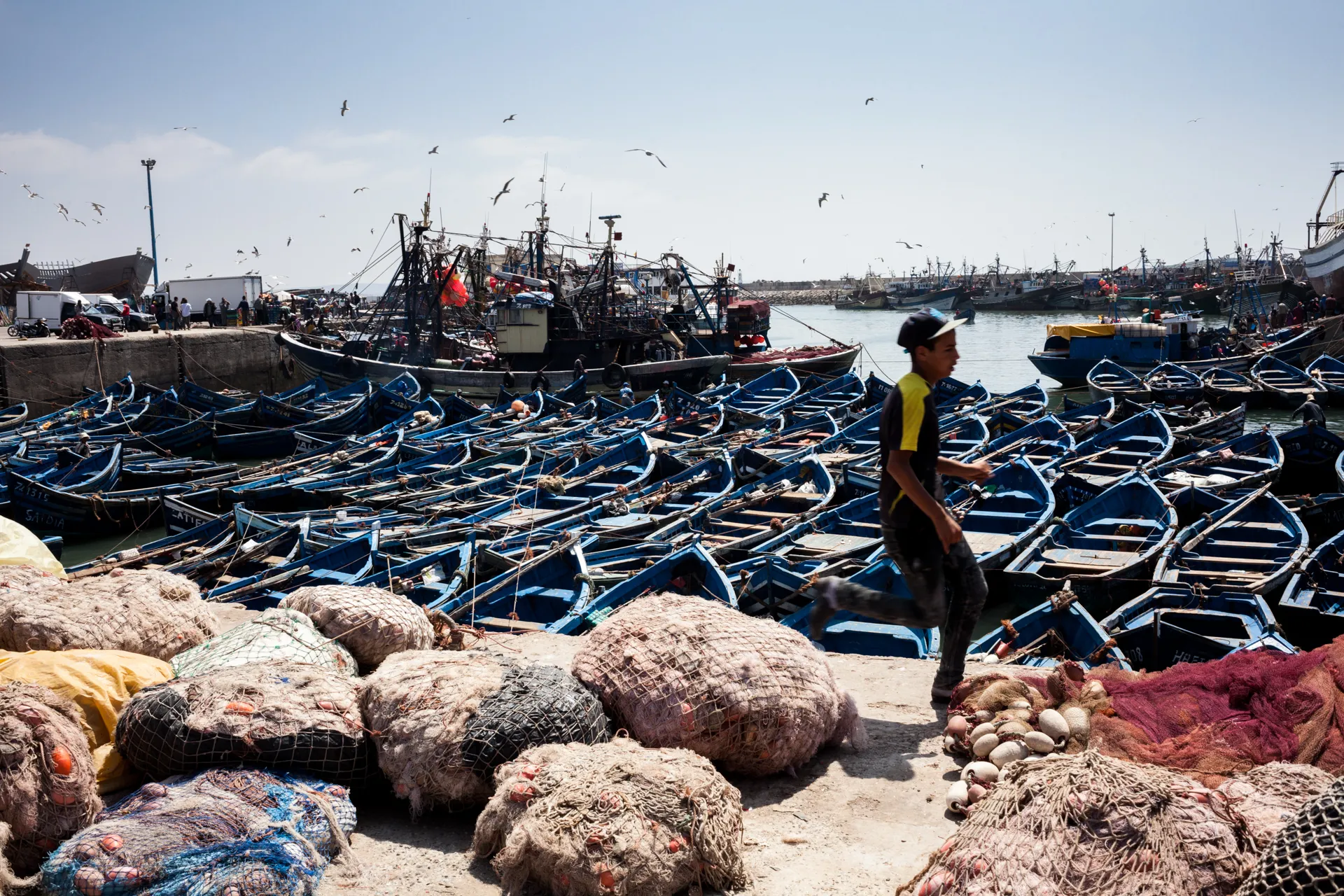 Explore the Old City of Essaouira
