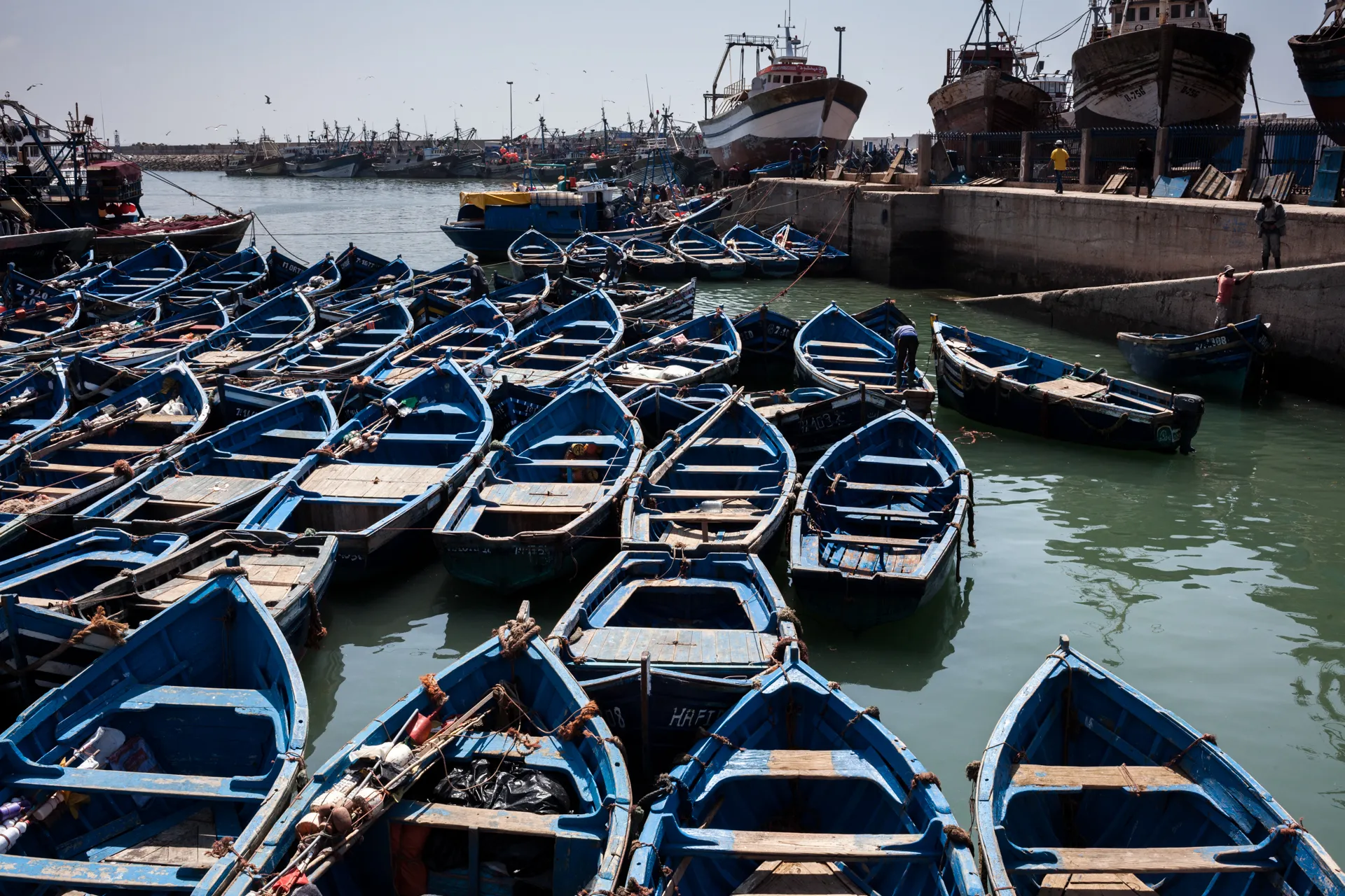 Explore the Old City of Essaouira