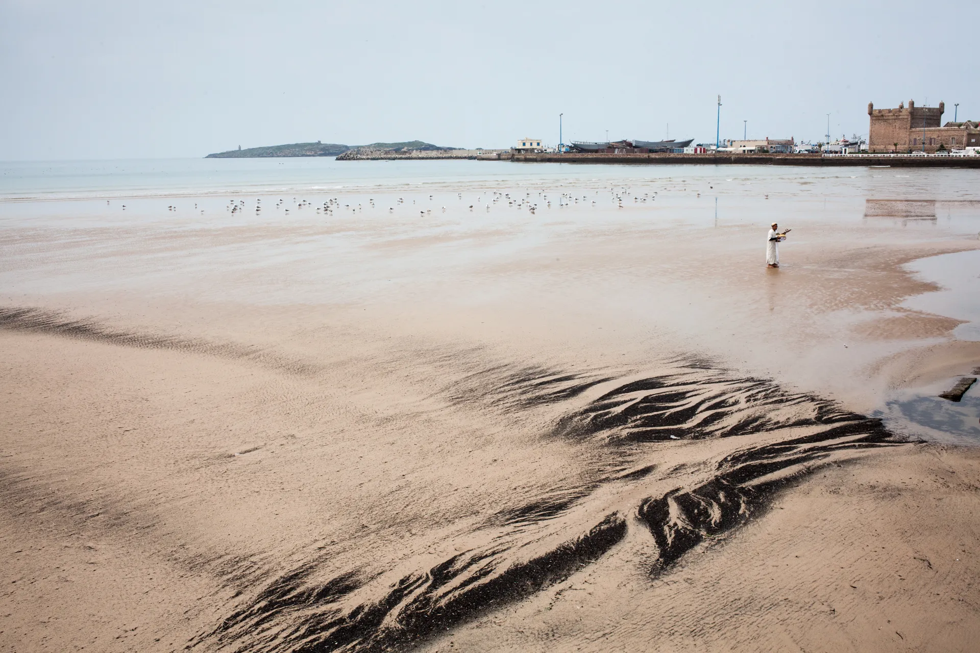 Explore the Old City of Essaouira