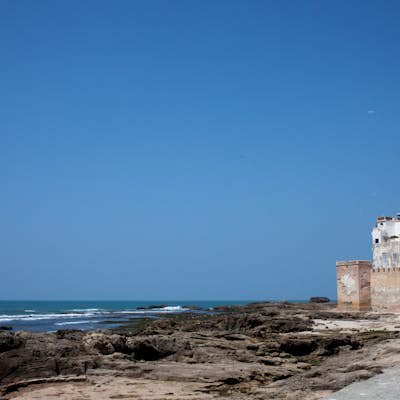 Explore the Old City of Essaouira