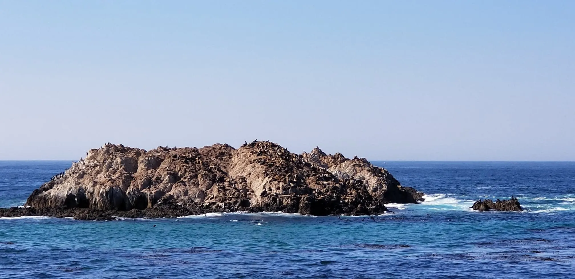 Spanish Bay Beach
