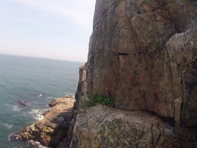 Otter Cliff