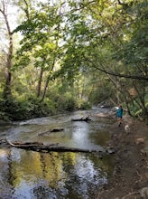 Hike Los Gatos Trail to Jones Trail Loop