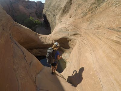 Rock Climb Dragonfly Canyon