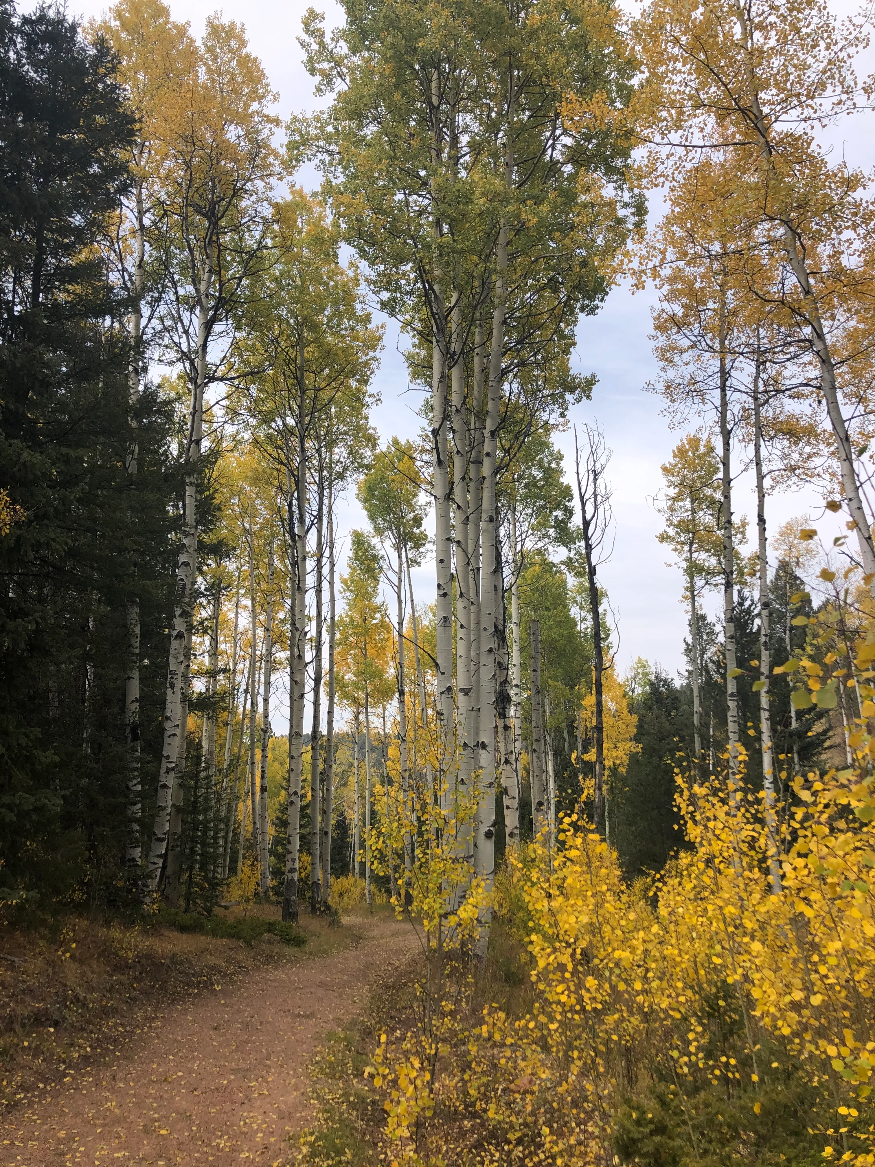 Hike to Rock Pond