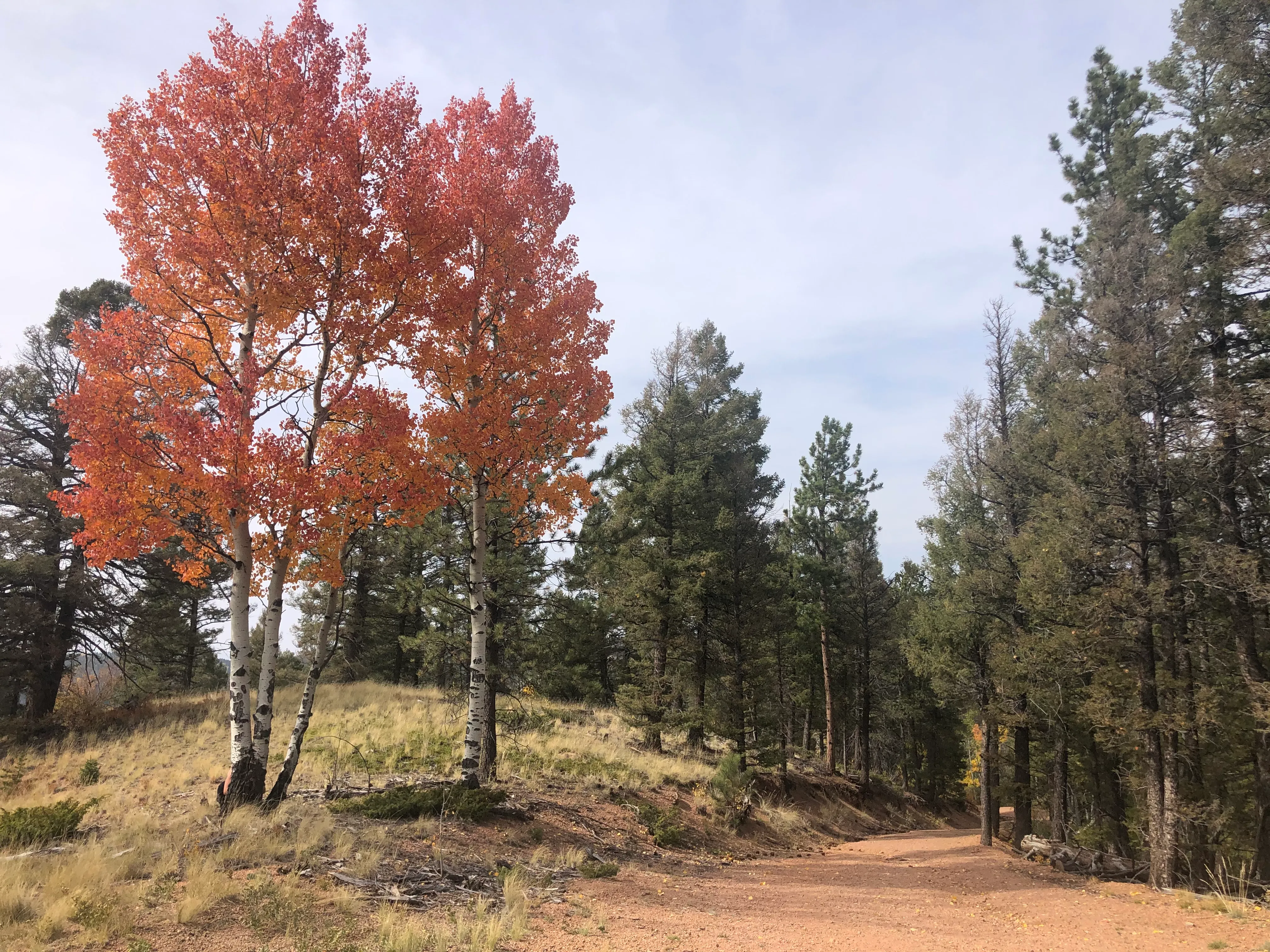 Hike to Brook Pond