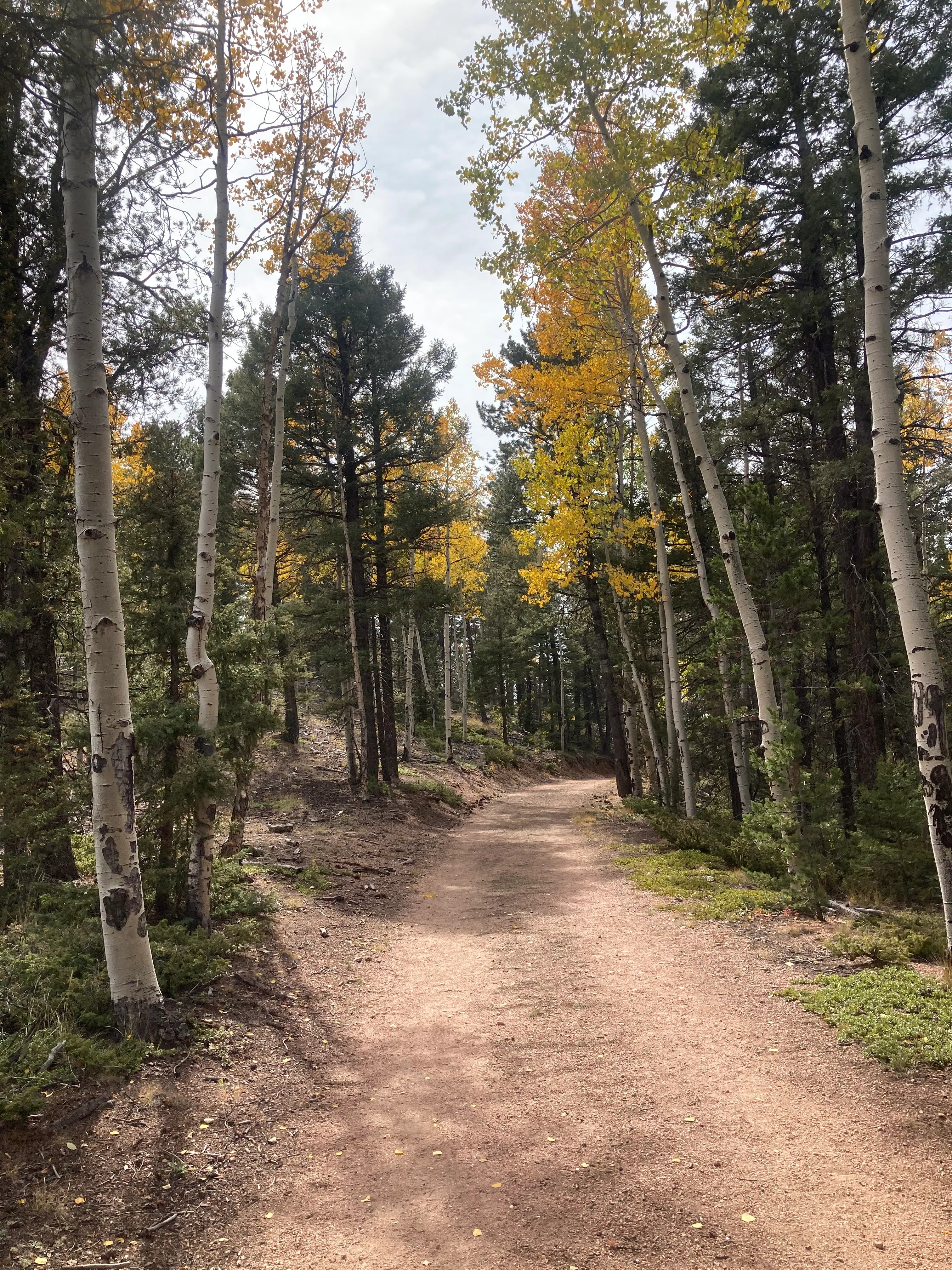 Hike to Rock Pond