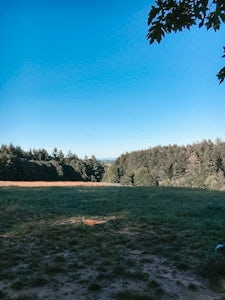 Hike Woodland Meadow Park Loop