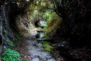 Walk to Amir Ali Springs