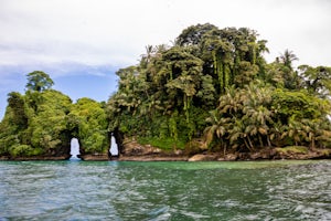 Take a Boat Ride to Bird Island