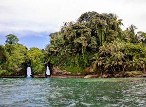 Take a Boat Ride to Bird Island