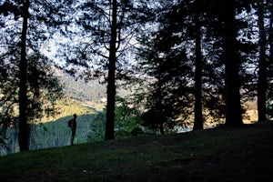 Explore the Garden of Averof in Metsovo