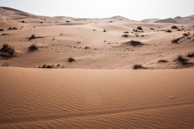 Camp at Sahara Desert