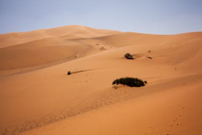 Camp at Sahara Desert