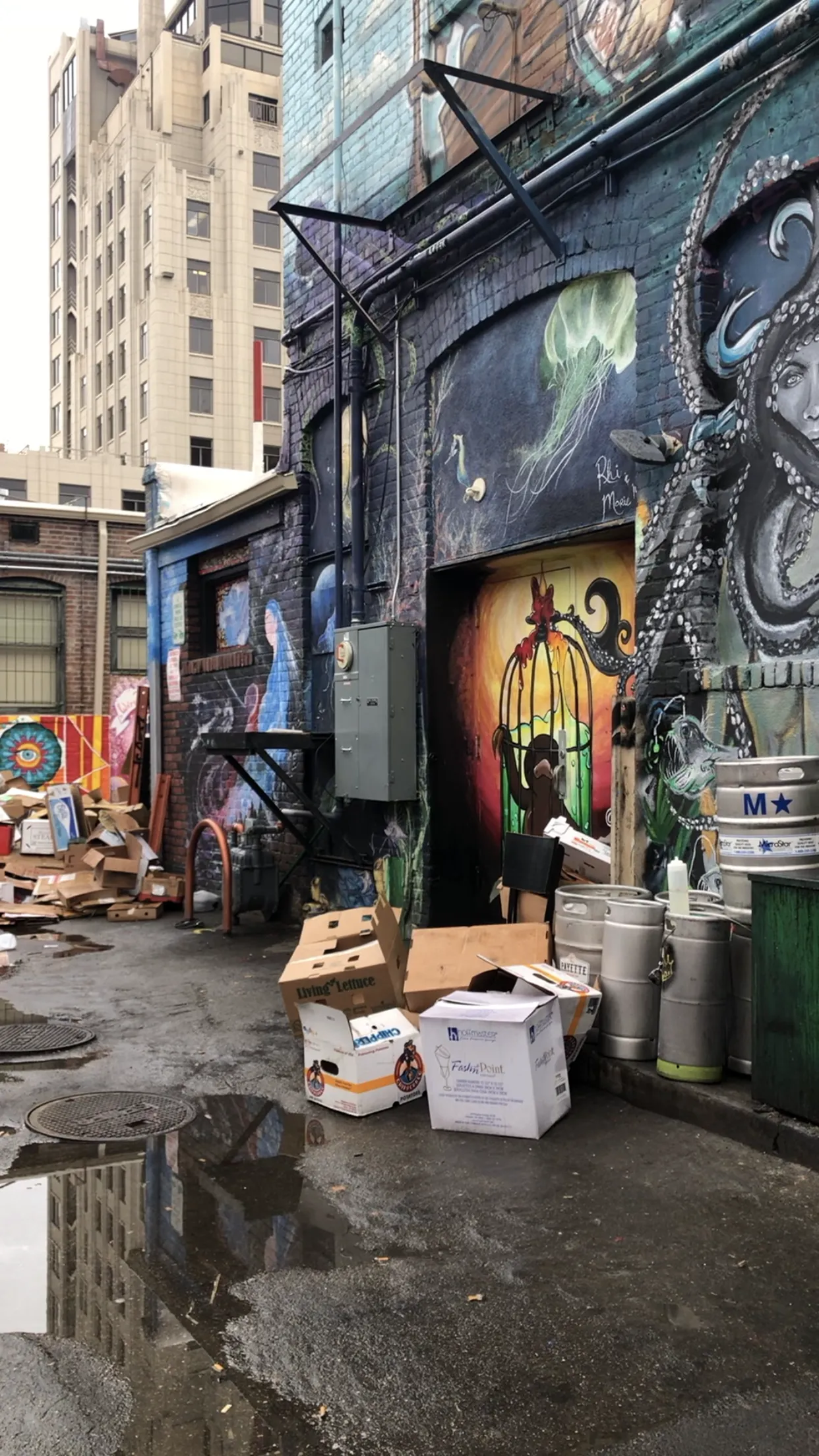 Photograph Freak Alley