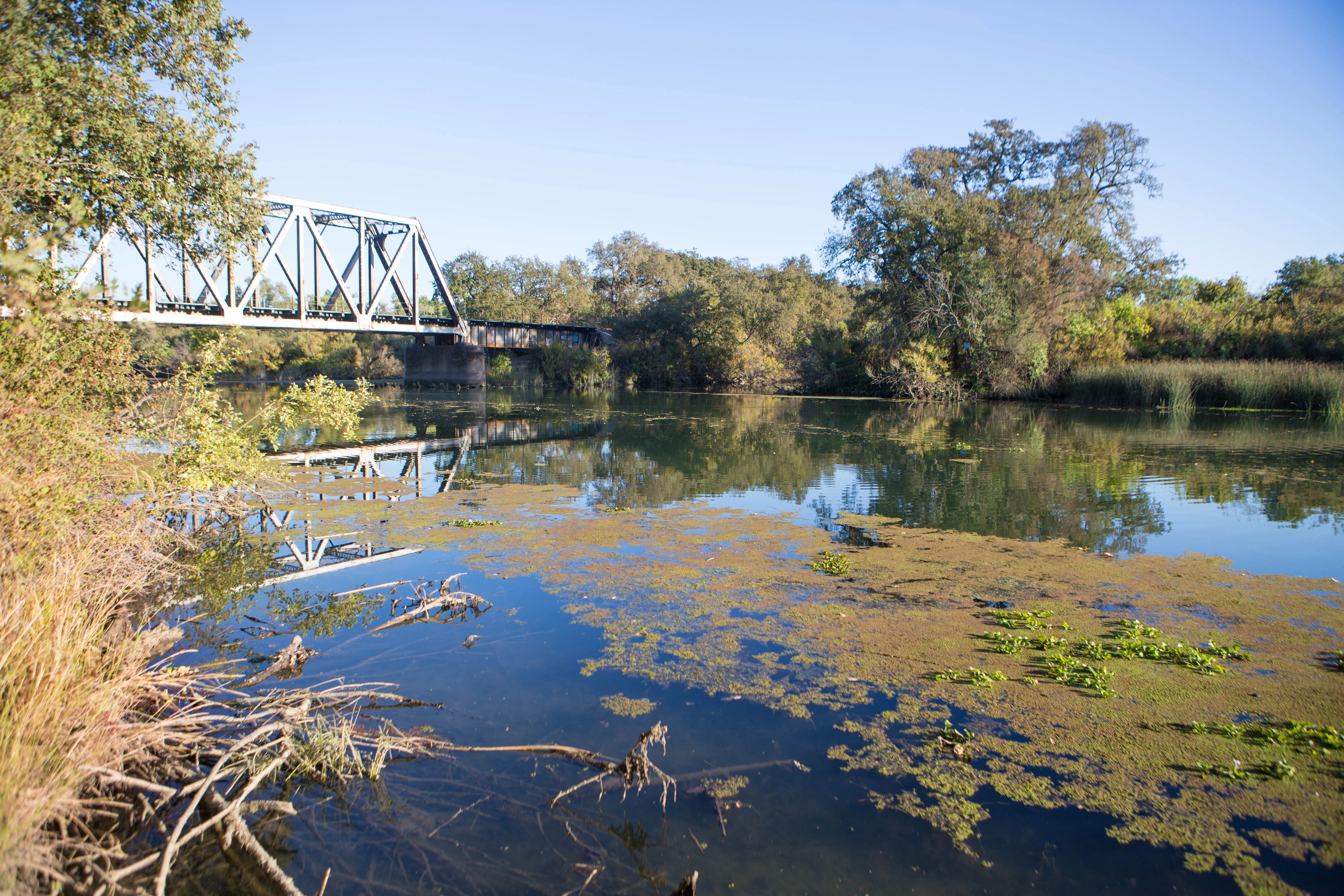 Hike the Cosumnes River Walk Trail